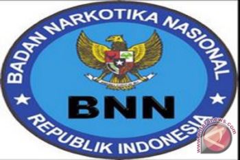 Pemkab Kulon Progo kaji pembentukan BNNK 