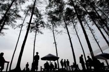 WISATA PANTAI PANJANG