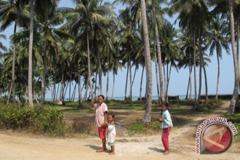 Mutu Perkebunan Lampung Turun