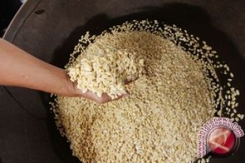 Suplementasi isoflavon kedelai bantu ringankan gejala menopause