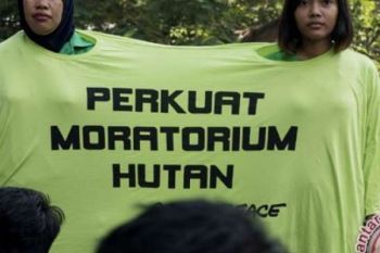 Greenpeace Protes KFC Dari Hutan-Riau