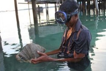 Kimak Memiliki Nilai Jual Tinggi