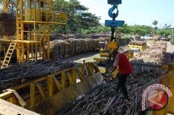 Harga Gula Naik Di Tingkat Pabrik