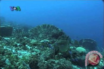 Sabang gelar Festival Hari Laut Sedunia 