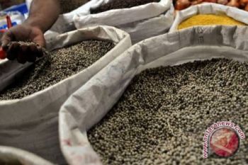 Petani lada keluhkan rendahnya harga jual