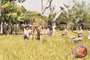 1.000 Ha lahan disiapkan untuk sekolah LPTT