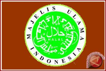  Perusahaan sepatu pemalsu label "halal"  harus diprosees 