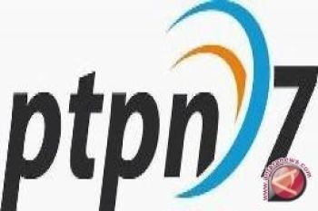 PTPN VII kerja sama dengan tiga kejati