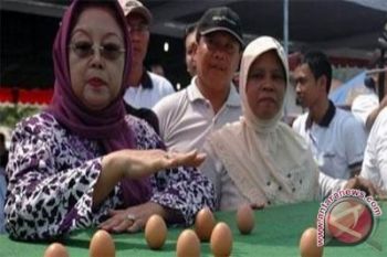 Dispar DIY gelar perayaan Peh Cun 2012