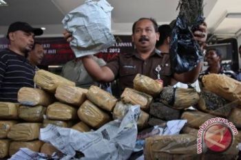 Pecandu Narkotika Indonesia 5 Juta Orang 