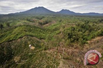 Kerusakan hutan Indonesia nomor dua di dunia 