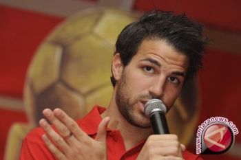 Fabregas mengantar Spanyol ke final Piala Eropa