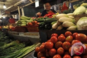 Pangsa pasar hortikultura diproyeksikan Rp100 triliun