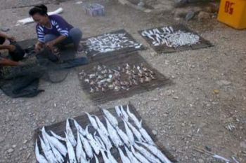Jual Ikan Olahan