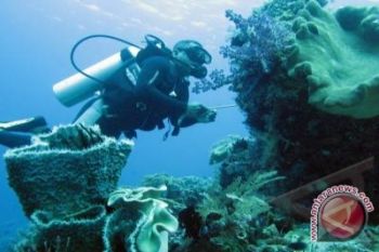 Politeknik KP Bitung kembangkan transplantasi terumbu karang