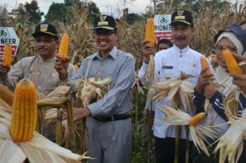 GUBERNUR KEMBALI KUNJUNGI SOLOK SELATAN