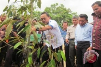 Menhut Ajak Masyarakat Giat Tanam Pohon 