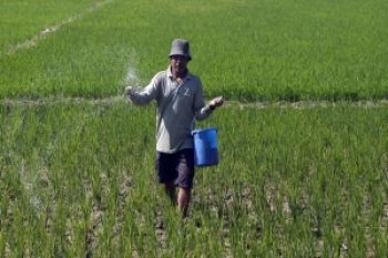 Penyerapan Urea di Boyolali 12.057 Ton