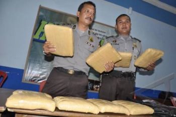 Polres Mataram sita 21,2 kilogram ganja
