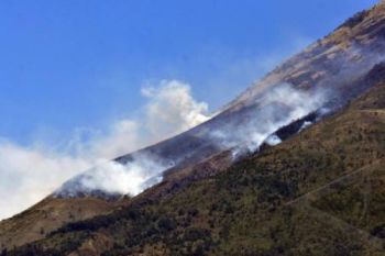 Lima Ha Hutan Lereng Sindoro Terbakar