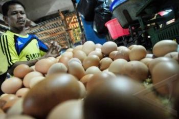Stok Sembako Aman