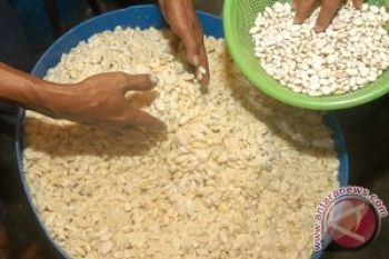  Pakar: Saatnya Kembali ke Tempe Kara