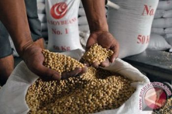 Menko Kesra Minta Perajin Tempe Kembali Berproduksi