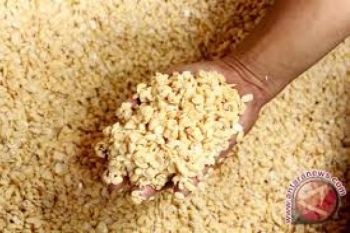 Harga Kedelai Meroket