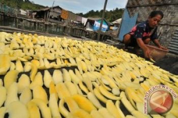 Tim Mangnut IPB Mengukir Prestasi Dunia 