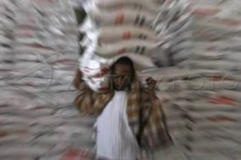 Kabupaten Pati Surplus Beras