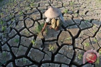14 Daerah di Jateng Rawan Kekeringan