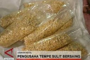 Ketergantungan Kedelai Impor Sulitkan Pengusaha Tahu