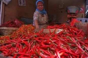 Harga Cabai Di Kudus Berangsur Turun