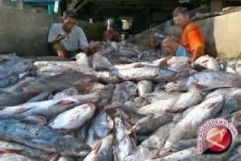 Populasi Ikan Merosot Karena Distrum    