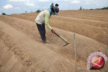 Bangka barat kerja sama Pemkab Banyuasin