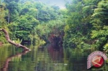 Pengolahan DAS Di Sulteng Belum Menunjukkan Hasil 