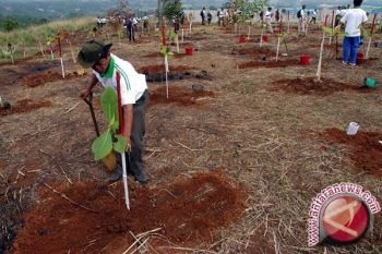 Petani Sidodadi ubah lahan kritis jadi hutan 