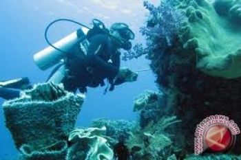 Keindahan Laut Indonesia Digemari Fotografer Prancis 