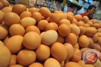 Jelang ramadhan harga telur ayam naik 35 persen 