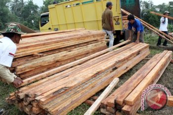 Produksi kayu Bantul hanya cukupi 20 persen