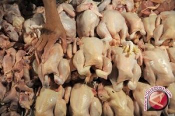 Harga Ayam dan Telur Diperkirakan Akan Turun