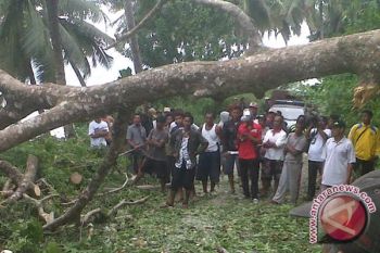 Pelaku Perusakan di Balaesang Tanjung Diminta Menyerahkan Diri