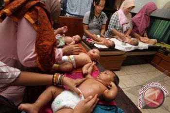 Riset IPB: minyak sereh aman bagi bayi