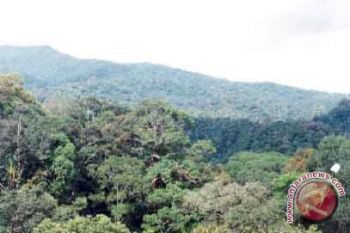 Pakar: hutan Indonesia kaya sumber pangan