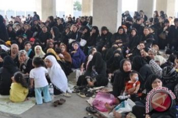 BNP2TKI bantu selesaikan ratusan kasus TKI "traficking" 