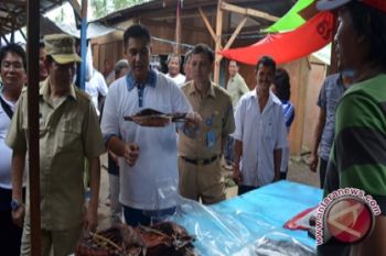 Trio pimpinan kota Manado periksa pasar tani 