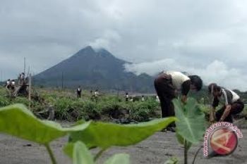Kaliurang Yogyakarta Dikunjungi 35.851 Orang     