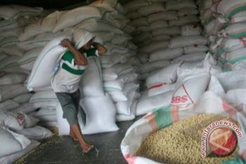 HKTI: tidak sulit turunkan harga kedelai 