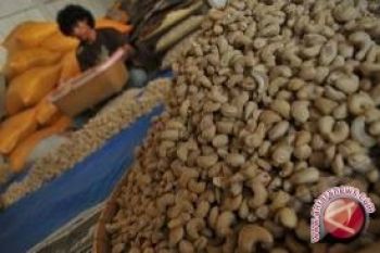 Kudeta Di Guinea Bissau Pangkas Produksi Mete