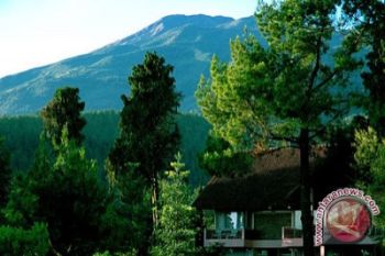 Bantul harapkan penghijauan kawasan wisata secara berkelanjutan